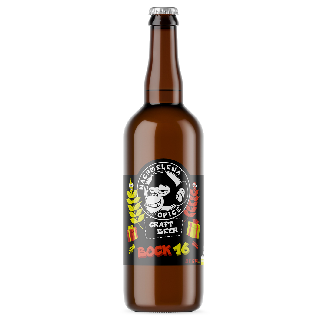 BOCK 16
